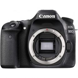 Caméra Canon 80D